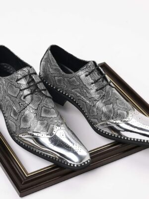 hatsApp Image 2026-01-30 at 18.41.23 Egestas Purus